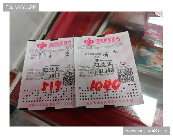 彩票停售即开奖，公正透明零等待引热议